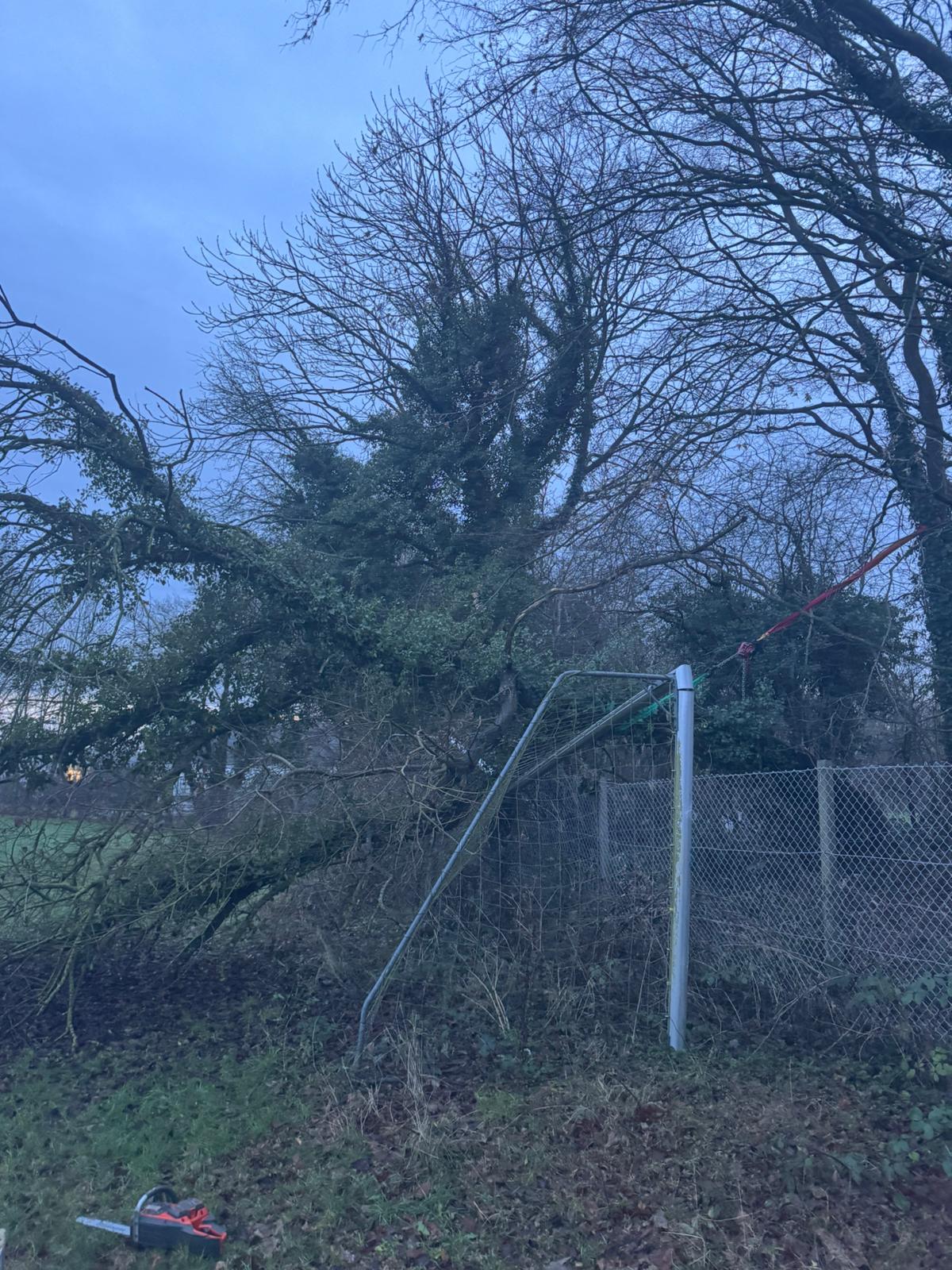 Sturmschaden – umgestürzter Baum an einem Fußballtor